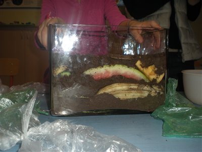 dscn7714